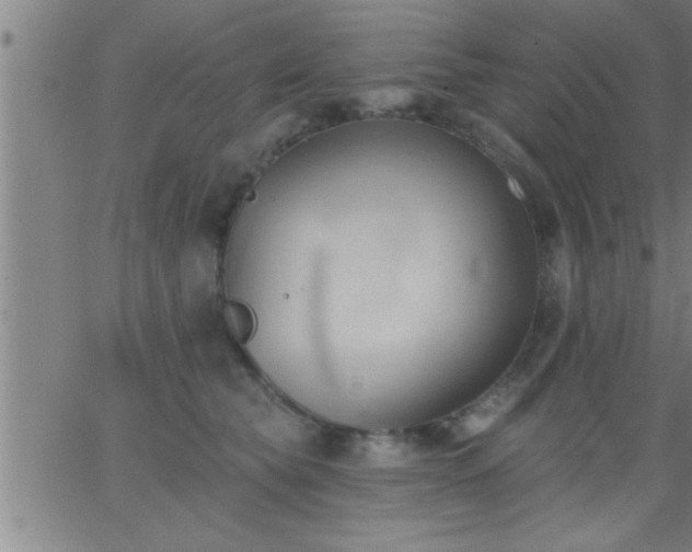 X0000062890565200601201848