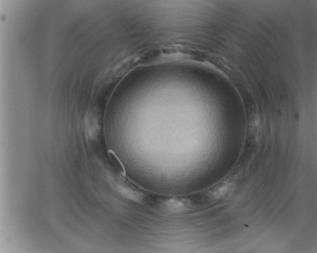 X0000062890566200601201848