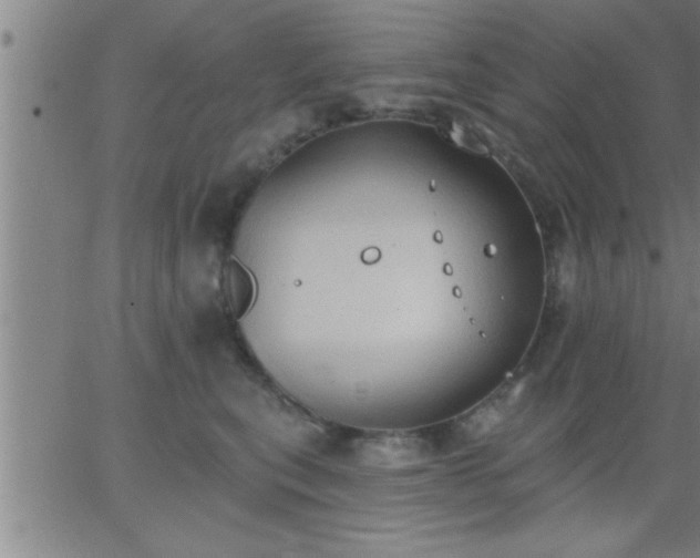 X0000062890567200601201848