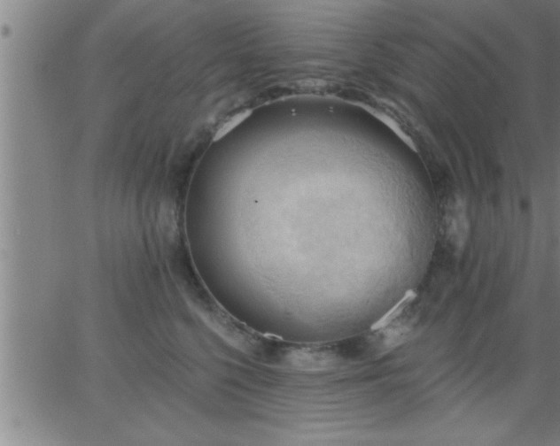 X0000062890568200601201848