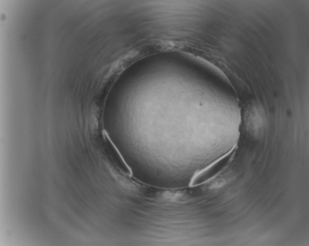 X0000062890570200601201848