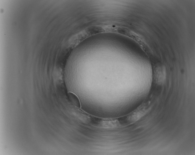 X0000062890571200601201849