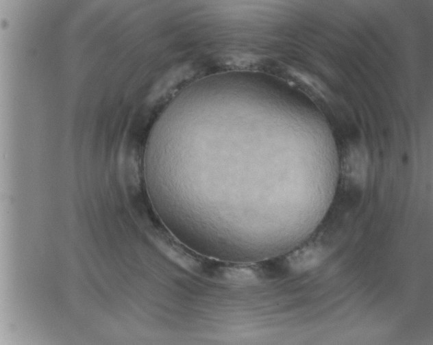 X0000062890572200601201849