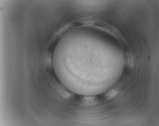 X0000062890573200601201849