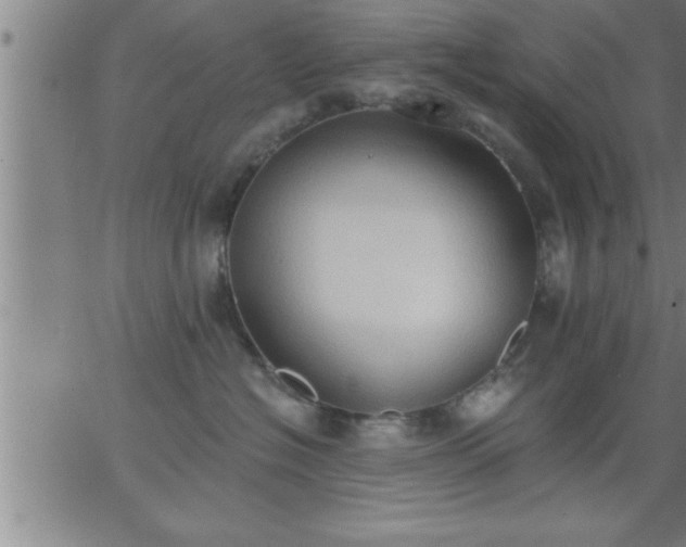 X0000062890574200601201849