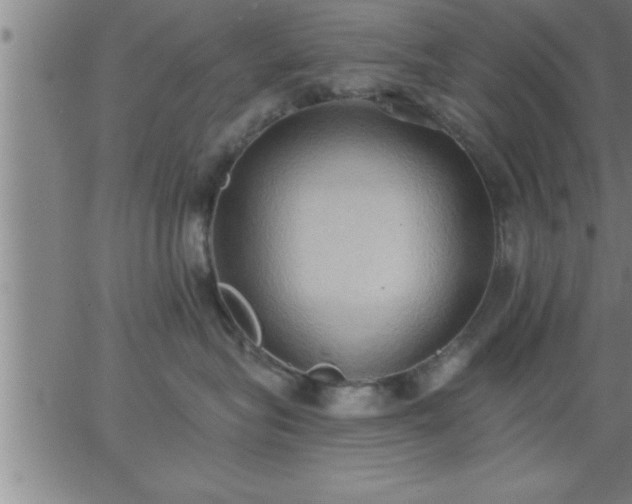 X0000062890575200601201849