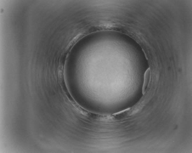 X0000062890576200601201849