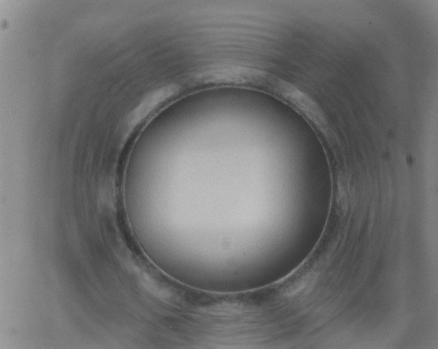 X0000062890578200601201848