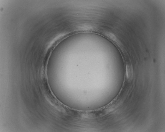 X0000062890579200601201848