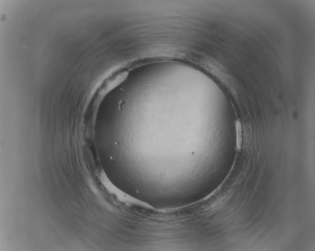 X0000062890580200601201848