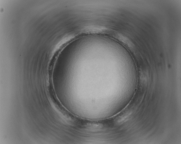 X0000062890582200601201848