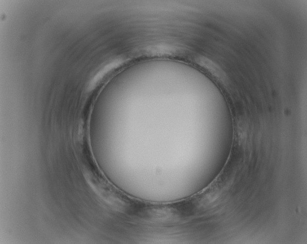 X0000062890583200601201848