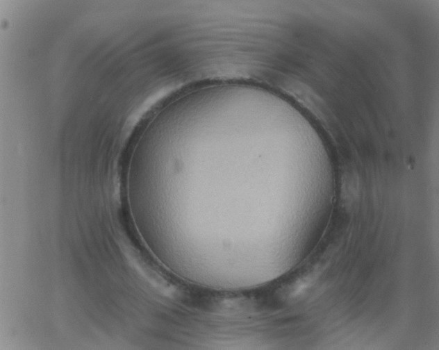 X0000062890584200601201848