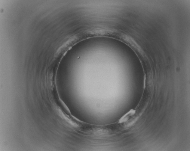 X0000062890585200601201848