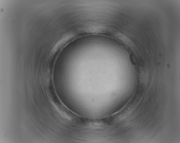 X0000062890586200601201848