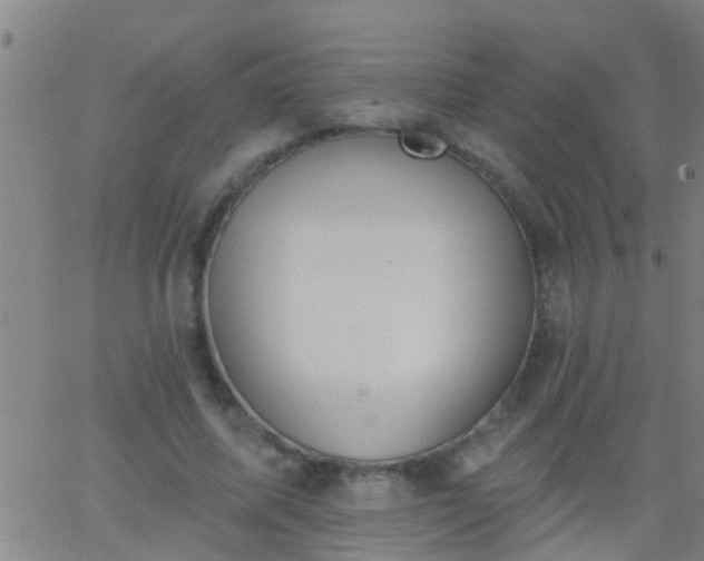 X0000062890587200601201848