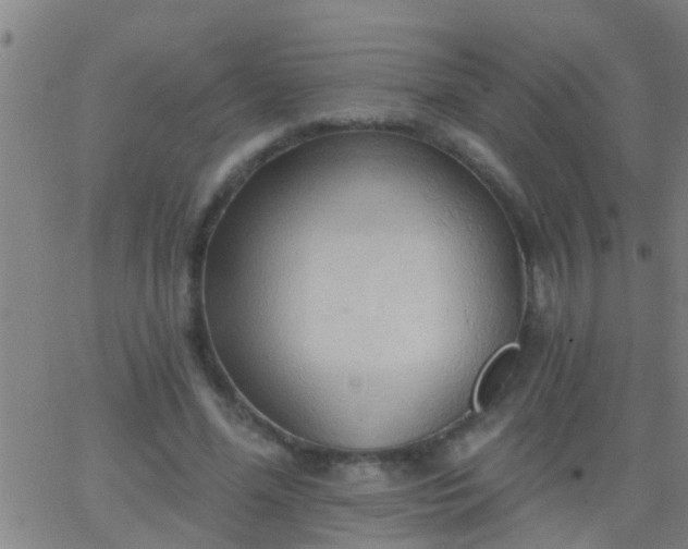 X0000062890588200601201848