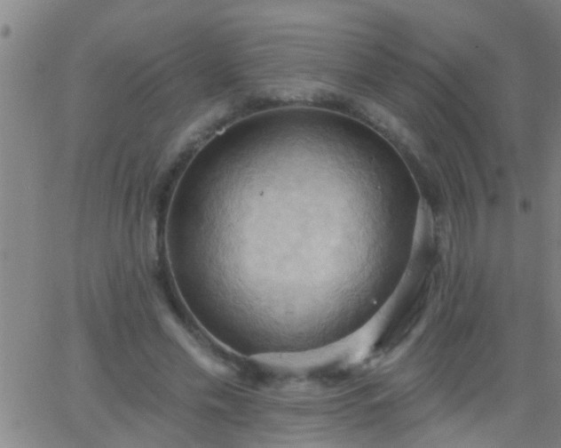 X0000062890589200601201848