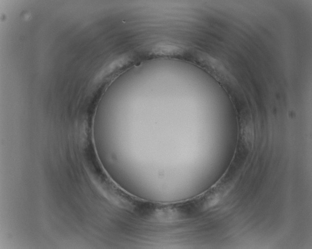 X0000062890591200601201848