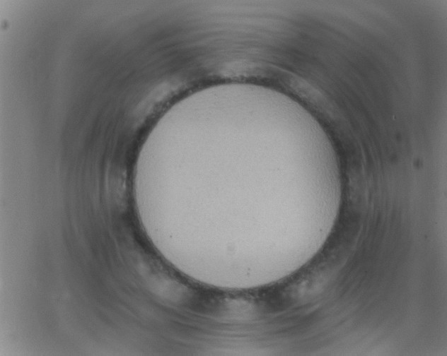 X0000062890592200601201848