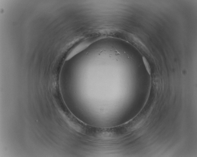 X0000062890593200601201848