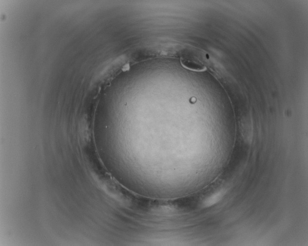 X0000062890594200601201848