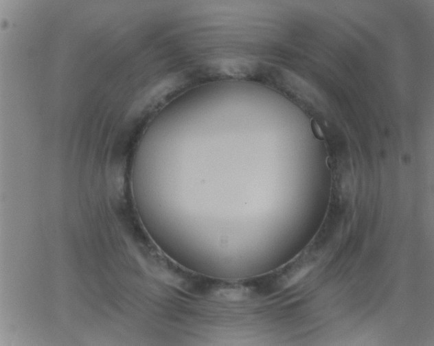 X0000062890595200601201848