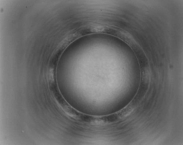 X0000062890598200601201847