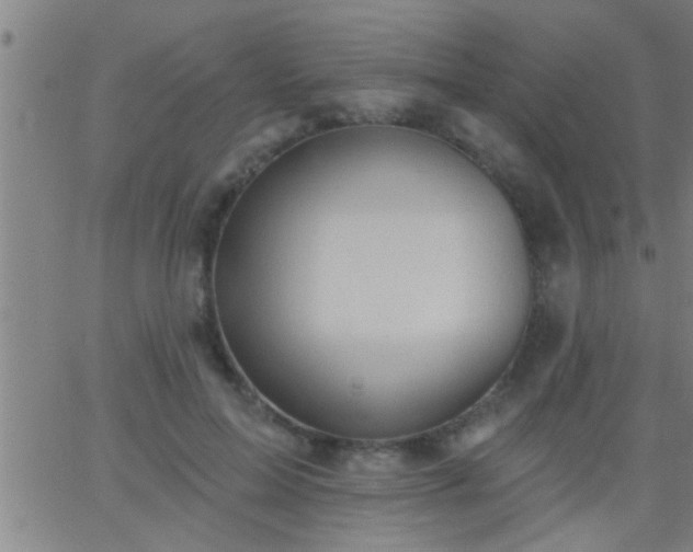 X0000062890599200601201847