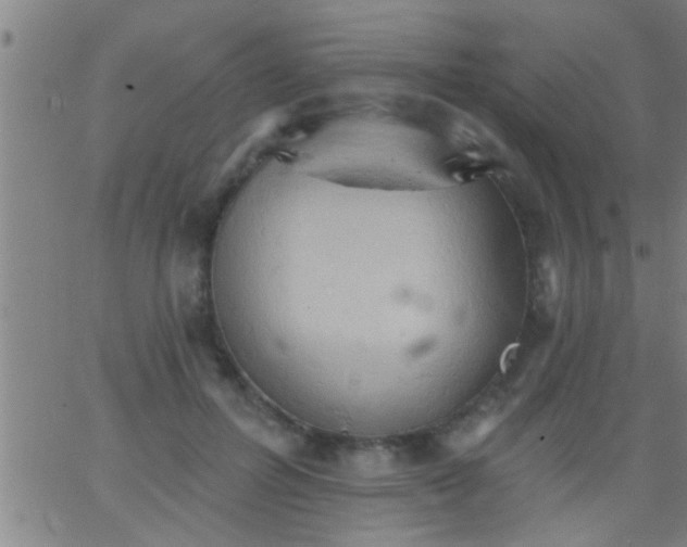 X0000062890600200601201847