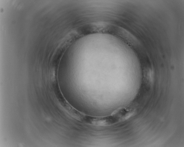 X0000062890602200601201847