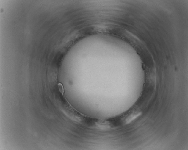 X0000062890603200601201847