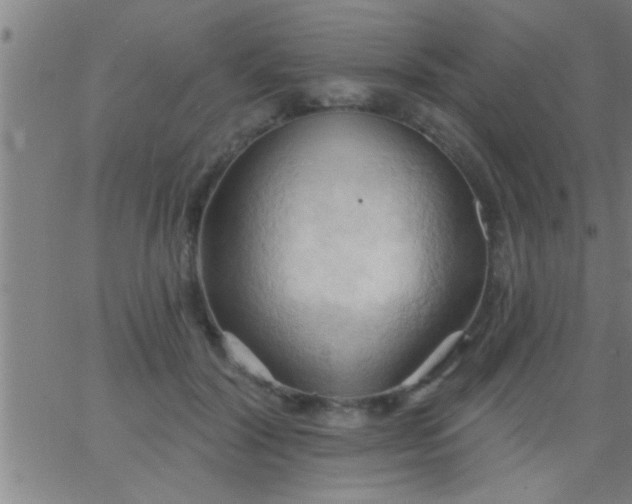 X0000062890604200601201847