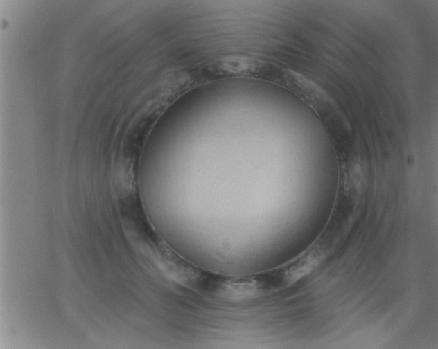 X0000062890606200601201847