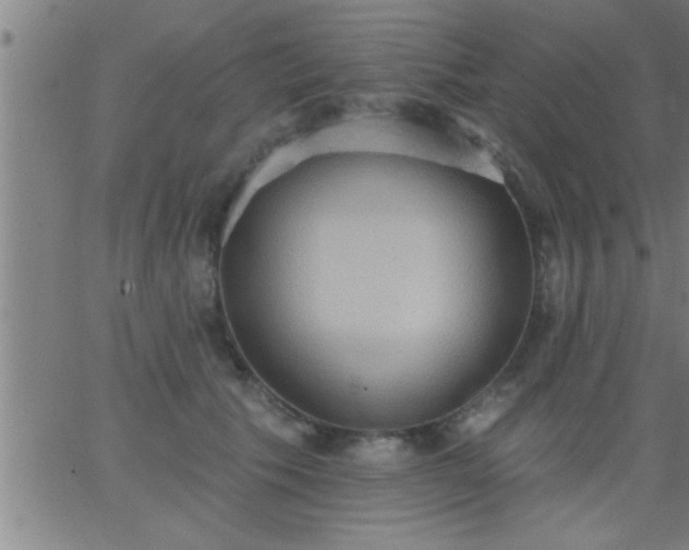 X0000062890609200601201847