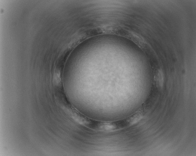 X0000062890610200601201847