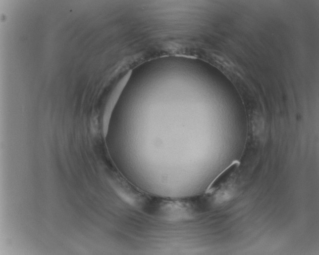 X0000062890611200601201847