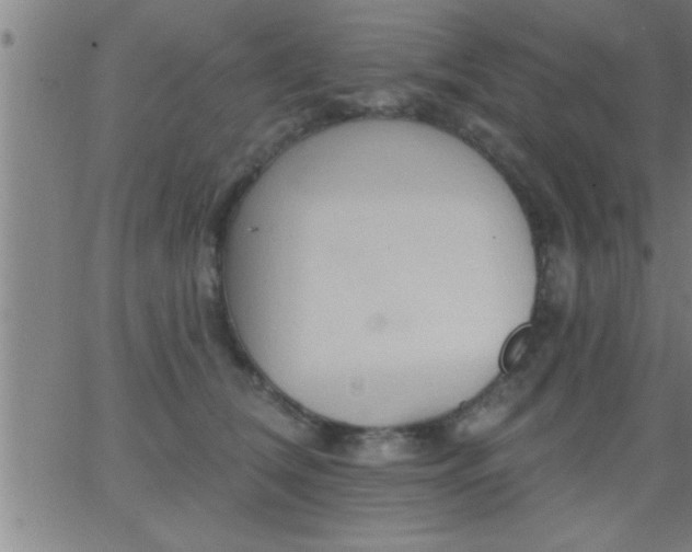 X0000062890612200601201847