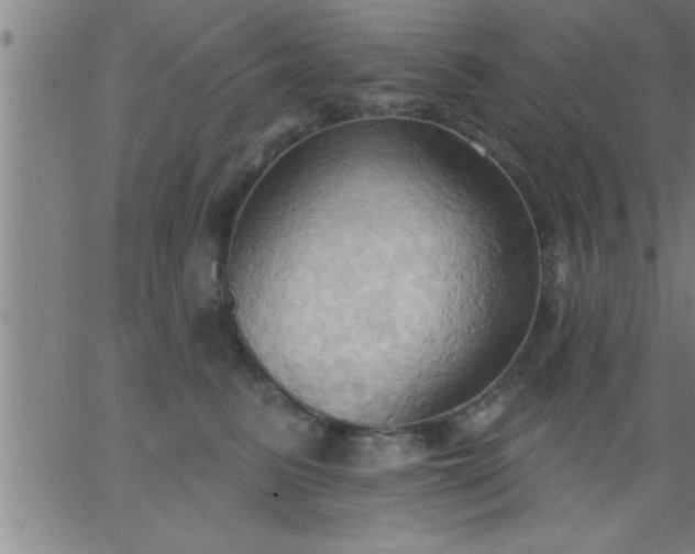 X0000062890615200601201847