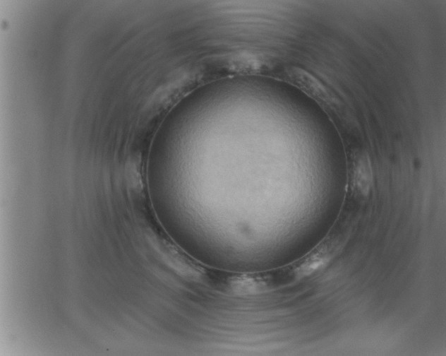 X0000062890616200601201847