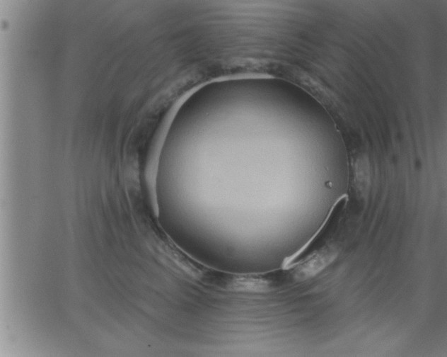 X0000062890617200601201847