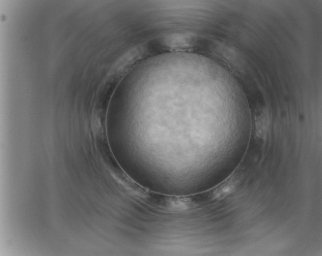 X0000062890618200601201847