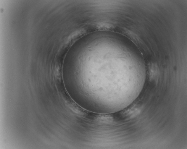 X0000062890619200601201847