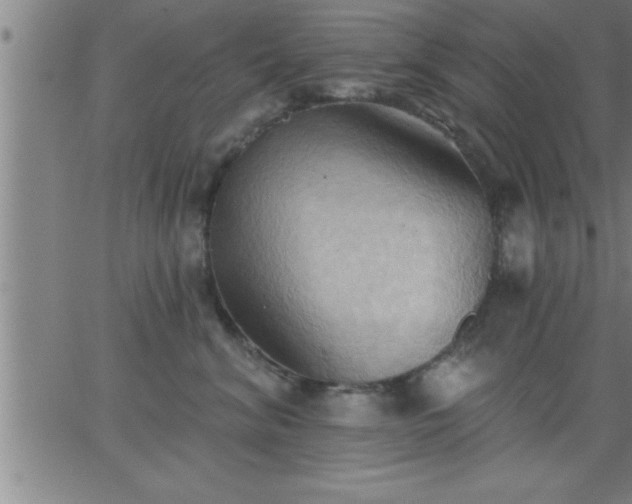 X0000062890620200601201847