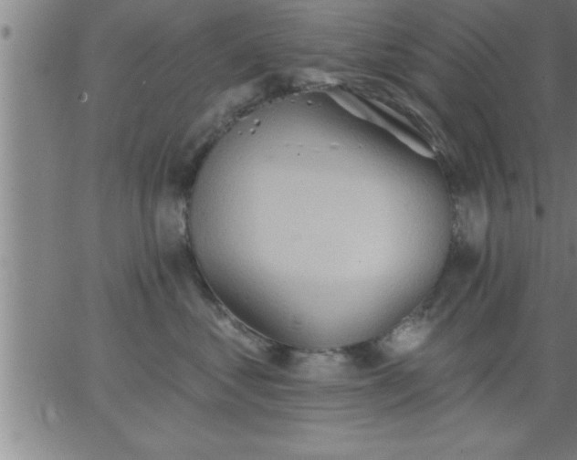 X0000062890621200601201847