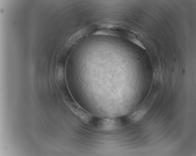 X0000062890623200601201847