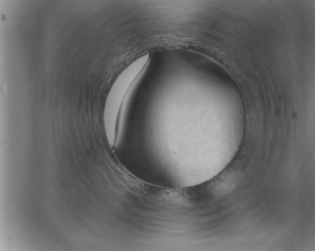 X0000062890624200601201847