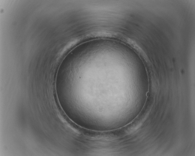 X0000062890625200601201846