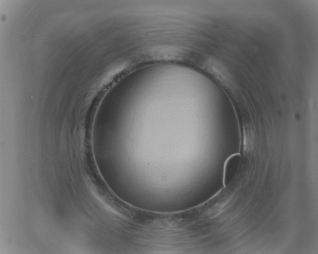 X0000062890627200601201846