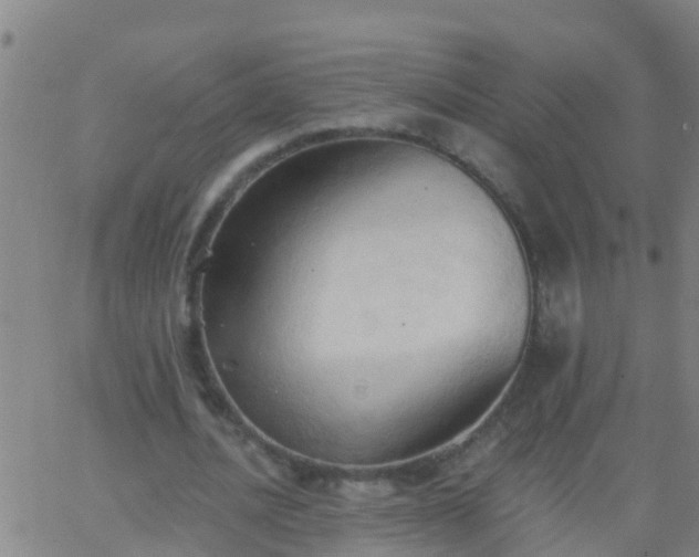 X0000062890628200601201846